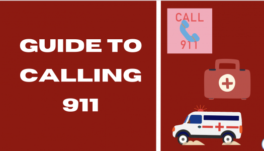 Guide to Using 911