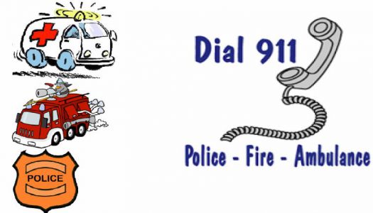 Guide to Using 911